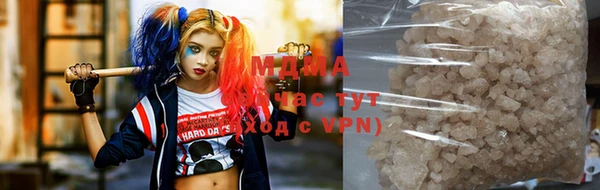 spice Инта