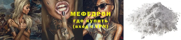 spice Инта