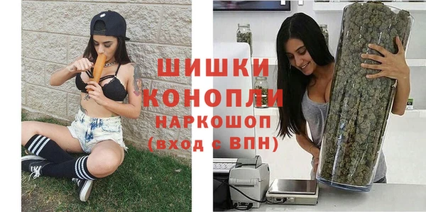 дживик Инсар
