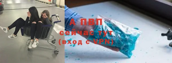 мяу мяу мука Каменногорск