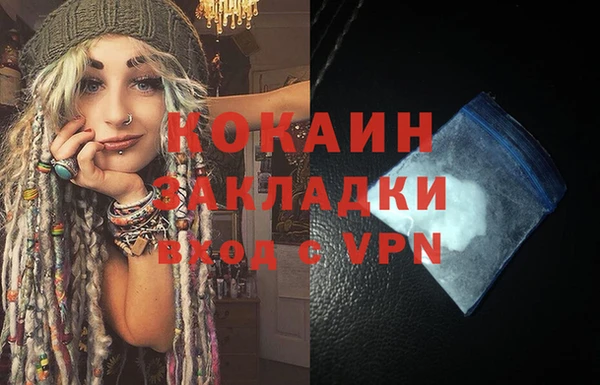 spice Инта