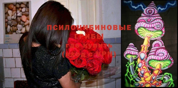 мдпв Иннополис