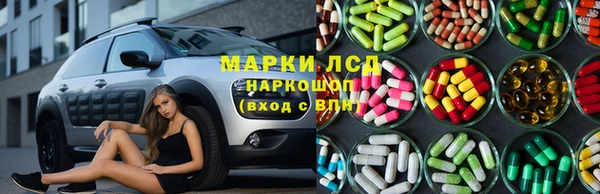 мяу мяу мука Каменногорск