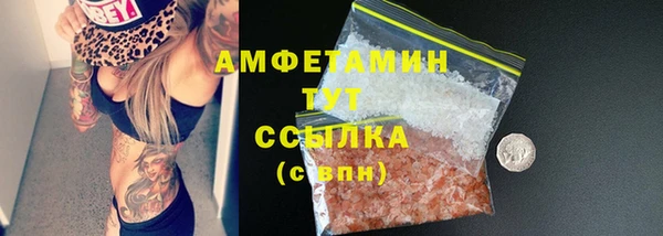 spice Инта