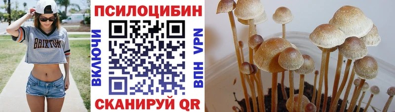 Купить  Вуктыл  Псилоцибиновые грибы GOLDEN TEACHER 